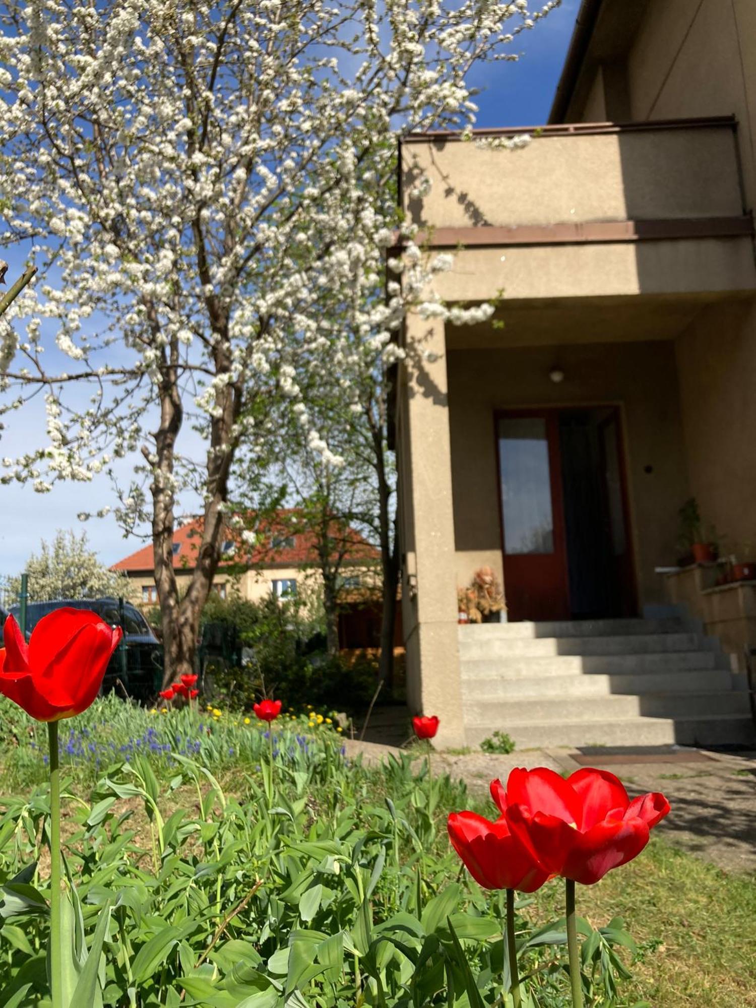 Spacious Apartment - Free Parking! Prague Extérieur photo